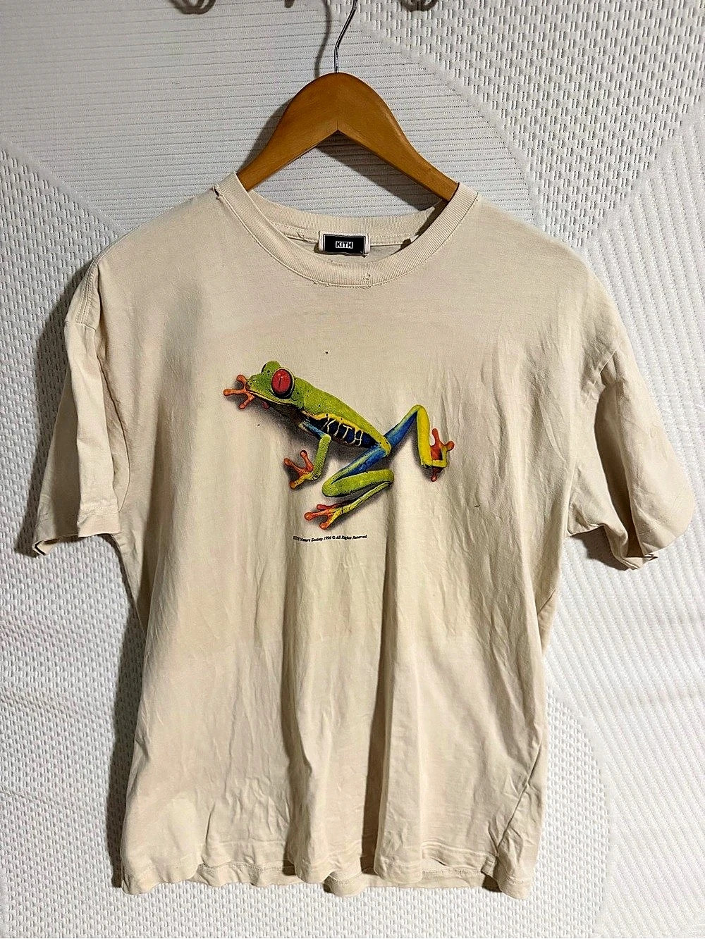 Kith for AMNH Amphibians Vintage Tee Frog Graphic Tee Size Large